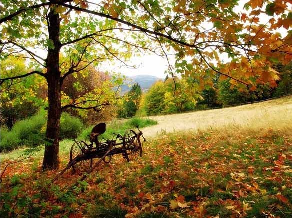 Кастер Кенжебек