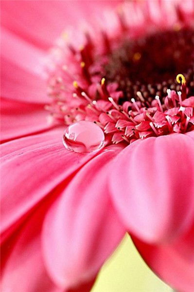 Марина Гладышева