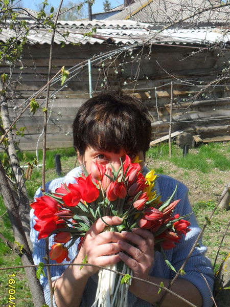 Елена Шароварченко