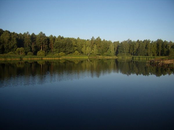 Отдел Эмпп Сенгилеевский