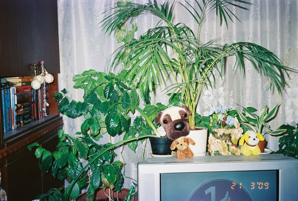 Алексей Демов