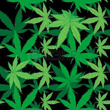 Конопля ...........