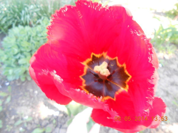 Наталья Качалкина