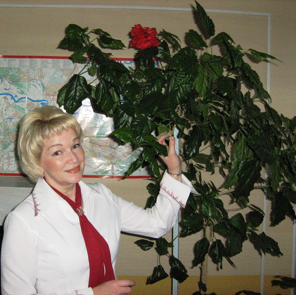 Светлана Элькис