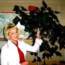 Светлана Элькис