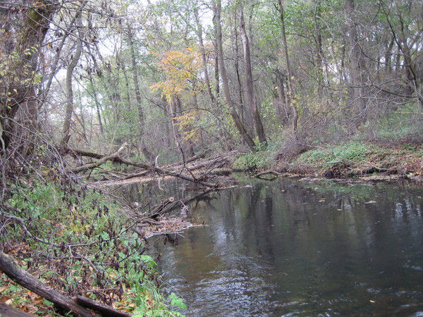 Беляева Наталья