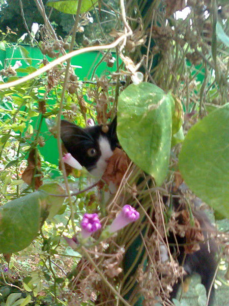 Виктор Огарко