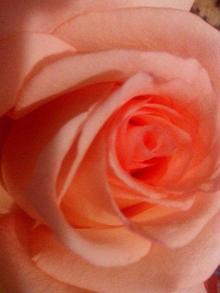 Алена Дементьева