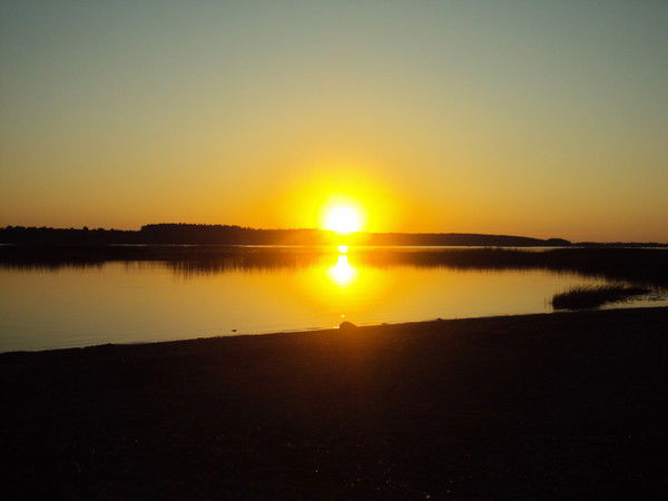 Дмитрий Розов