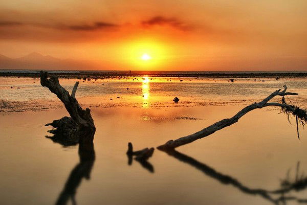 Асет Кайларов