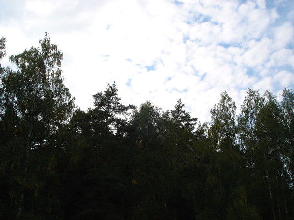 Миха Михлайко