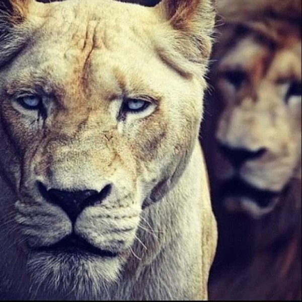 Владислав *