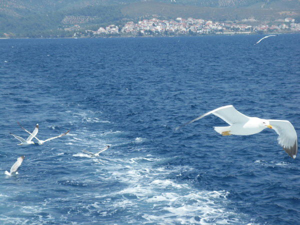 Зоя Карасёва