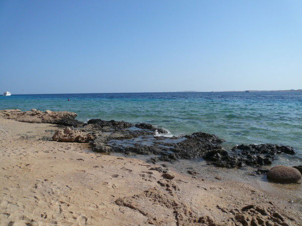 Дмитрий Шаден