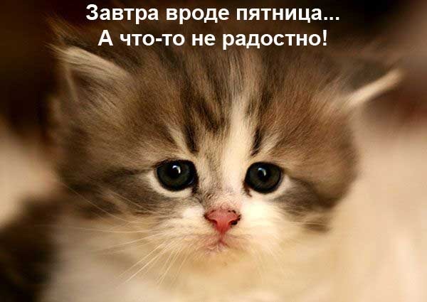 Валентина Захарченко