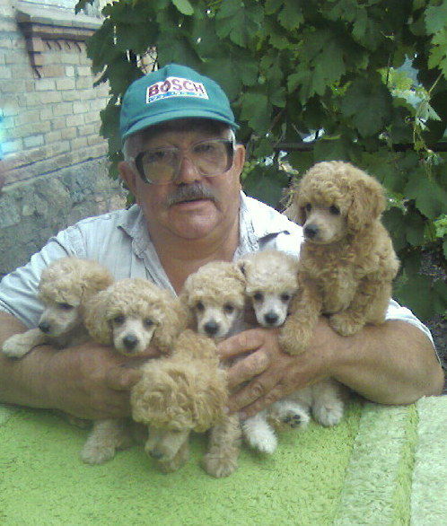 Николай Клименко