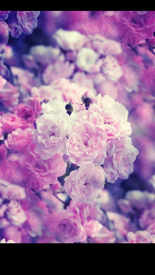 Жанслу Жуматаева