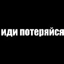 """"" Васёк """""
