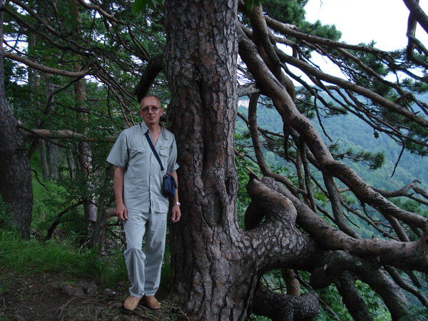 Виталий Романов