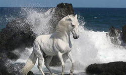 Yalihan_Indira Kaliakbarovi))))))))