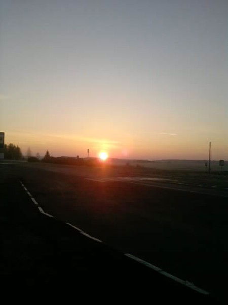 Алексей Медведков