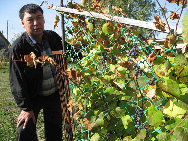 Тураркан Челдыбаев