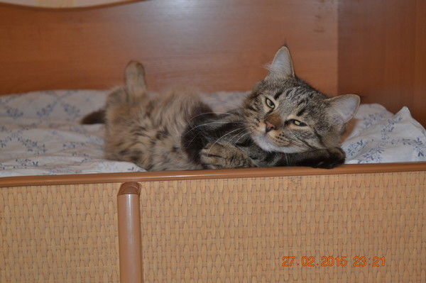 Лариса Байбуз