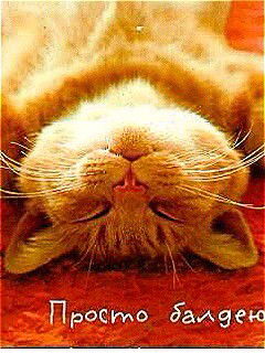 Олеся Алексеева