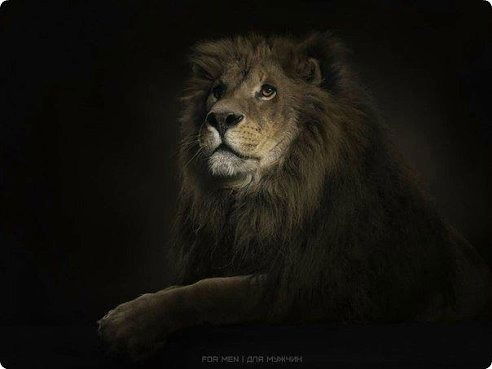 Наталья Соловьёва