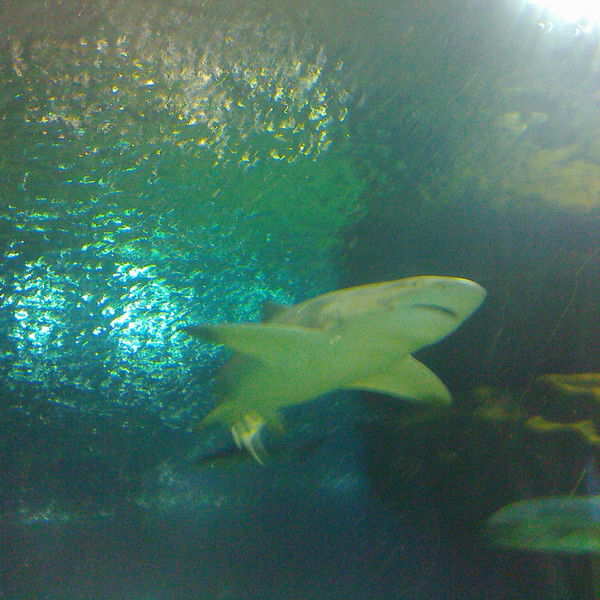 Марат Дудбаев