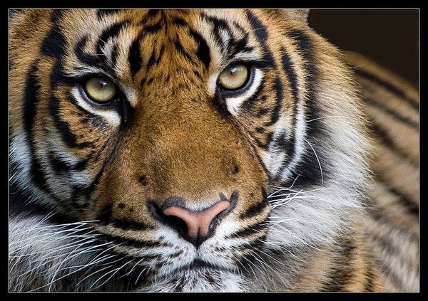 *** Людмила ***