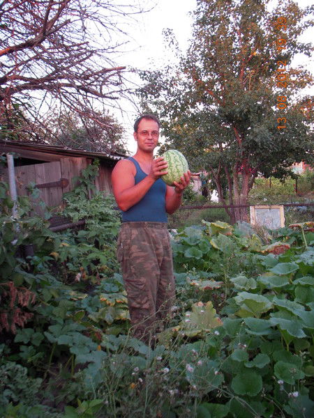 Александр Васильев