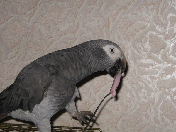 Марина Филатова