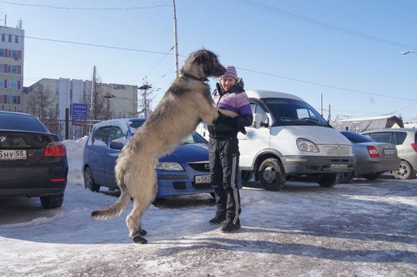 Оксана Задорожная
