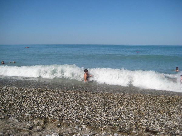 Динара Зубко