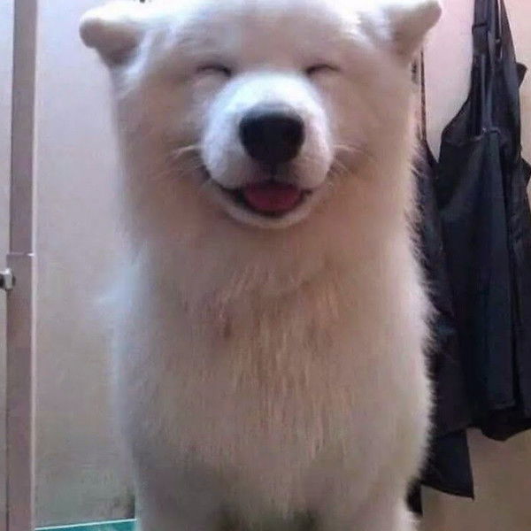 Роман Любин