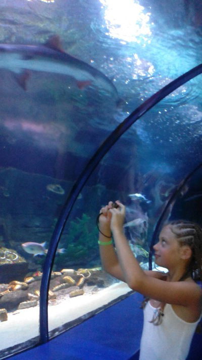 Ангелина Бокова