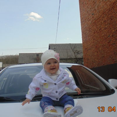 Миша Густей