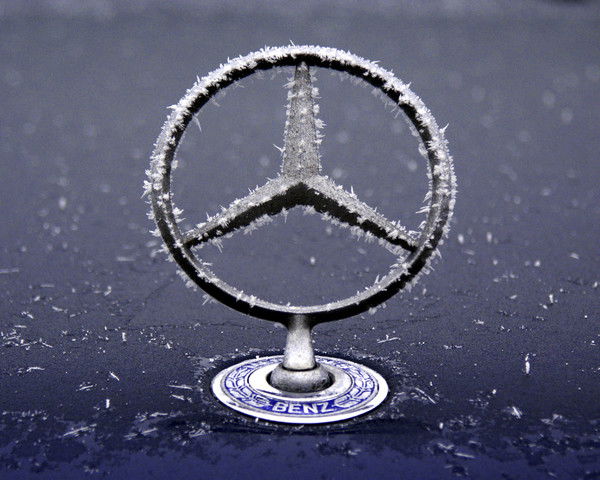 Елдос Салманов