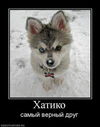 Наташа Мельникова