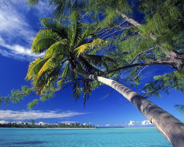 Любовь Буржунова