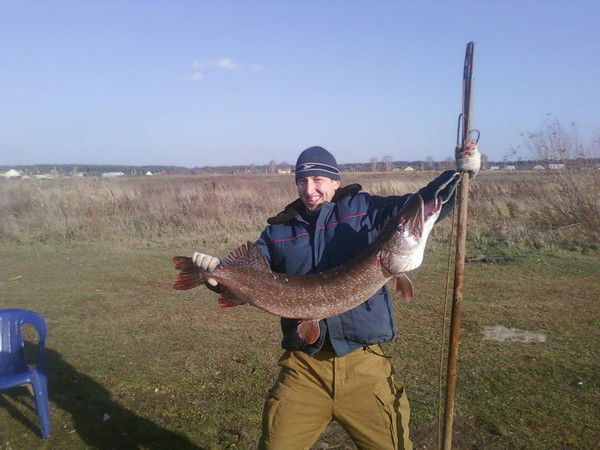 Андрей Подлегаев