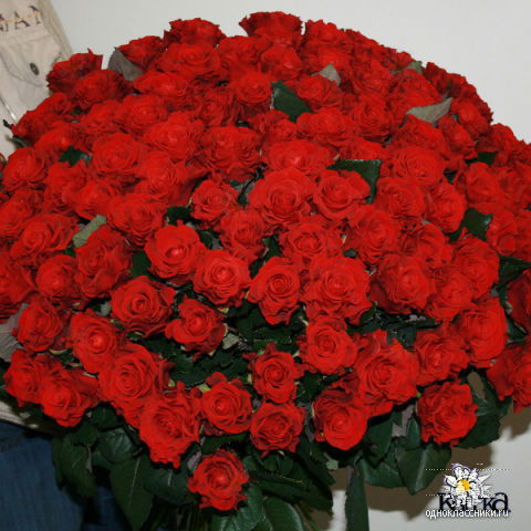 Райман Эльбуздукаева