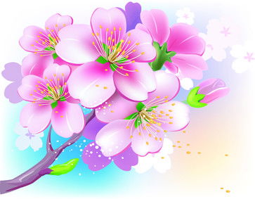 Наталія Малинська