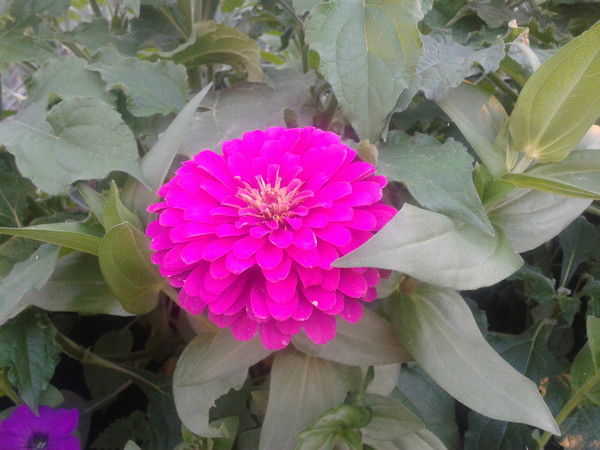 Юлия Бажукова