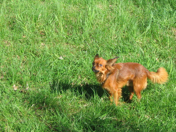 Андрей Олейников