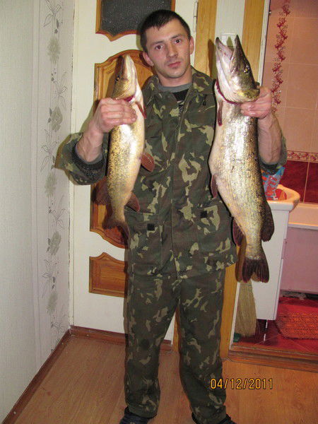 Евгений Забельский