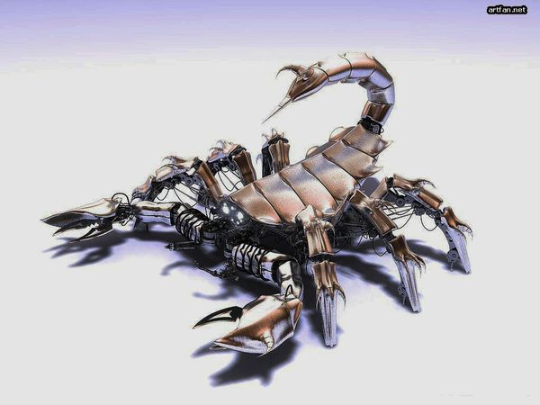 Айнура Агабалаева