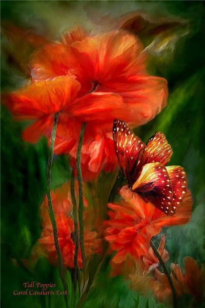 Мария Бабак