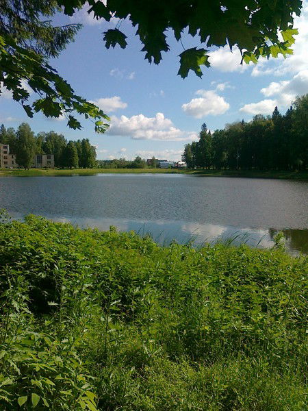 Рустем Хасанов